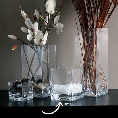 Senses™ Small 6"x6"x7" high Prizm Vase